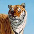 aguviwadu's Avatar