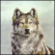 ezyzety's Avatar